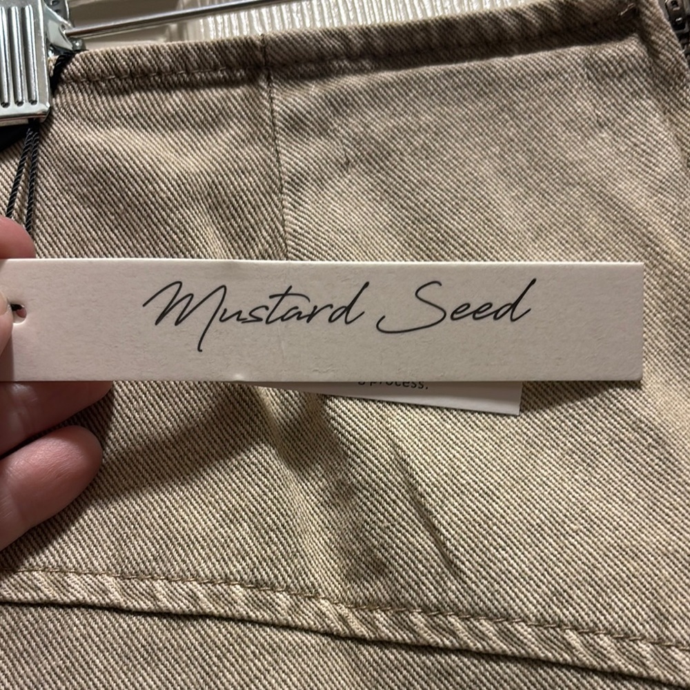 Mustard Seed Beige Skater Skirt - Picture 3 of 5